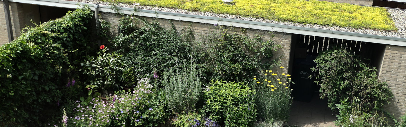 Testimonials schrijven 