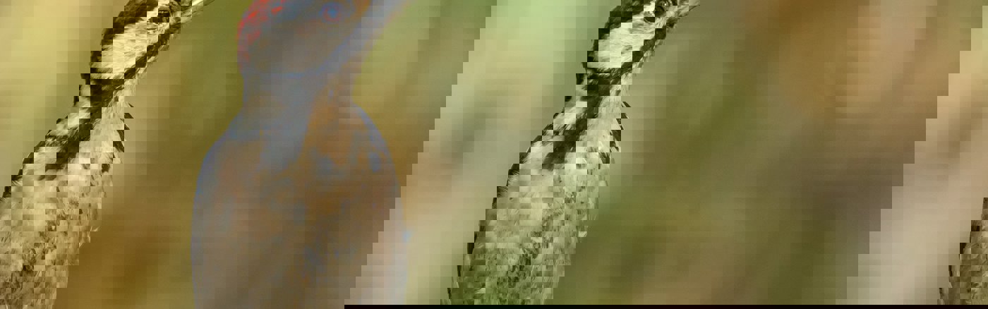 Marketing strategie sessies