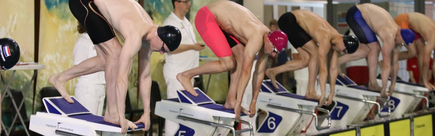 Custom Wordpress Thema maken