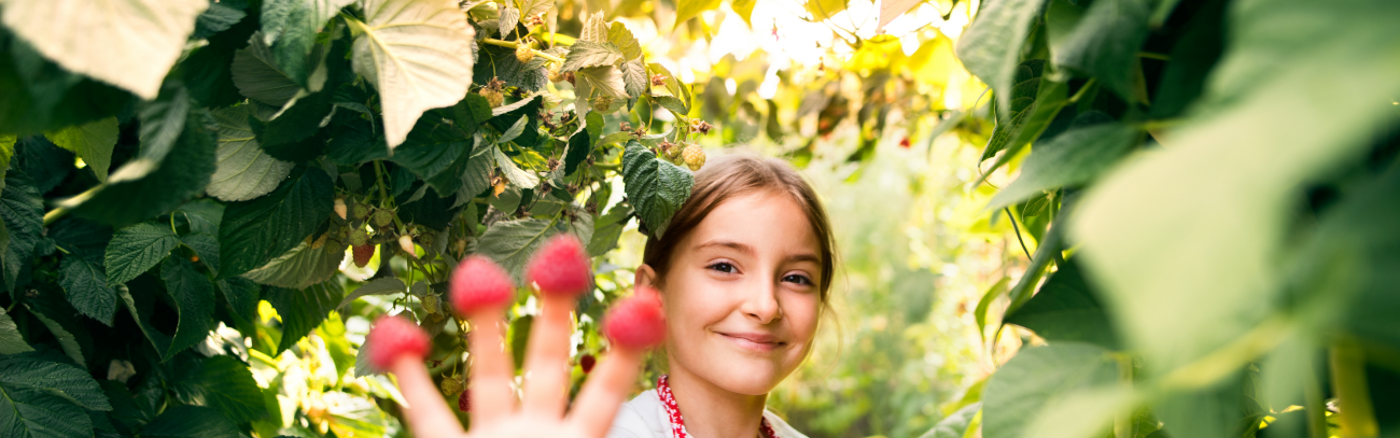 B2B communicatieplan