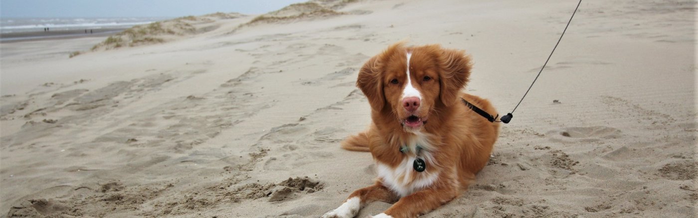 E-mail marketingtool uitleg en setup