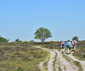 Stichting De Mooiste Routes