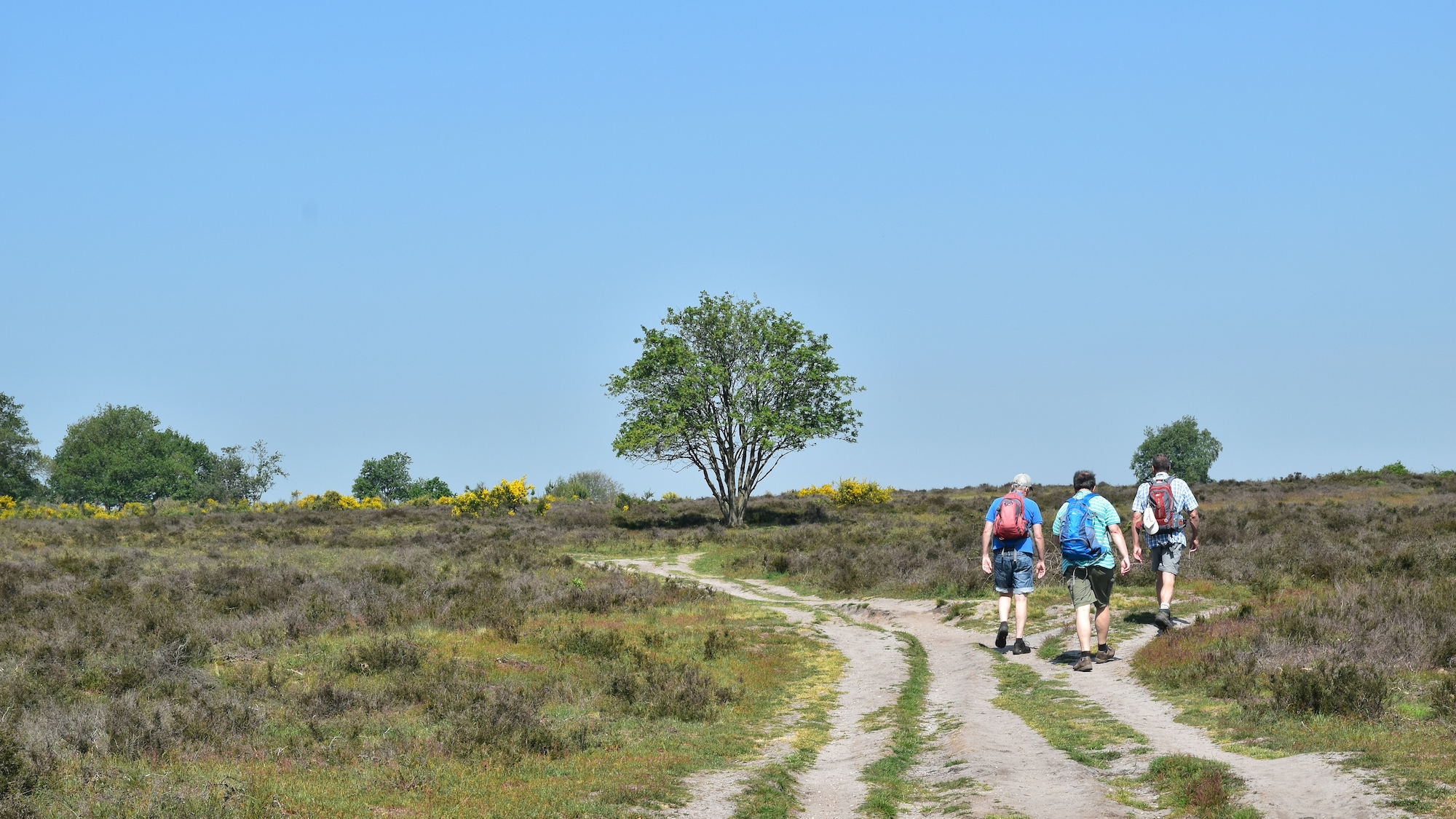 Stichting De Mooiste Routes