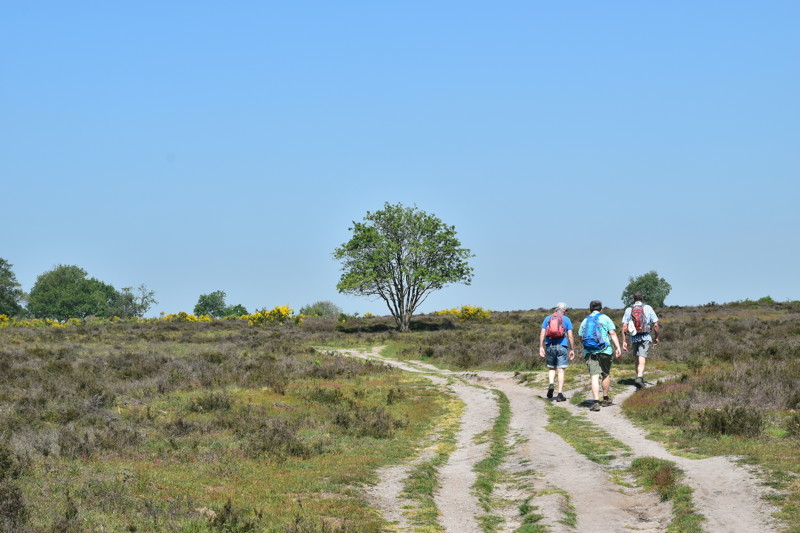 Stichting De Mooiste Routes