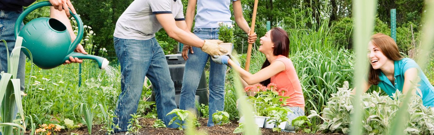 Ondersteuning bij onderzoek