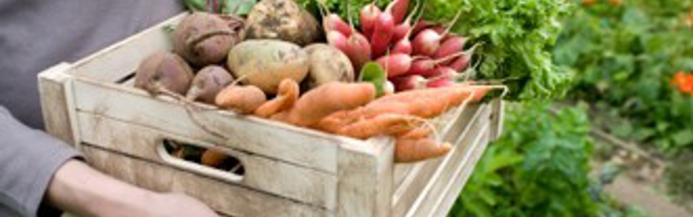 Subsidieaanvraag Documenten Verbeteren