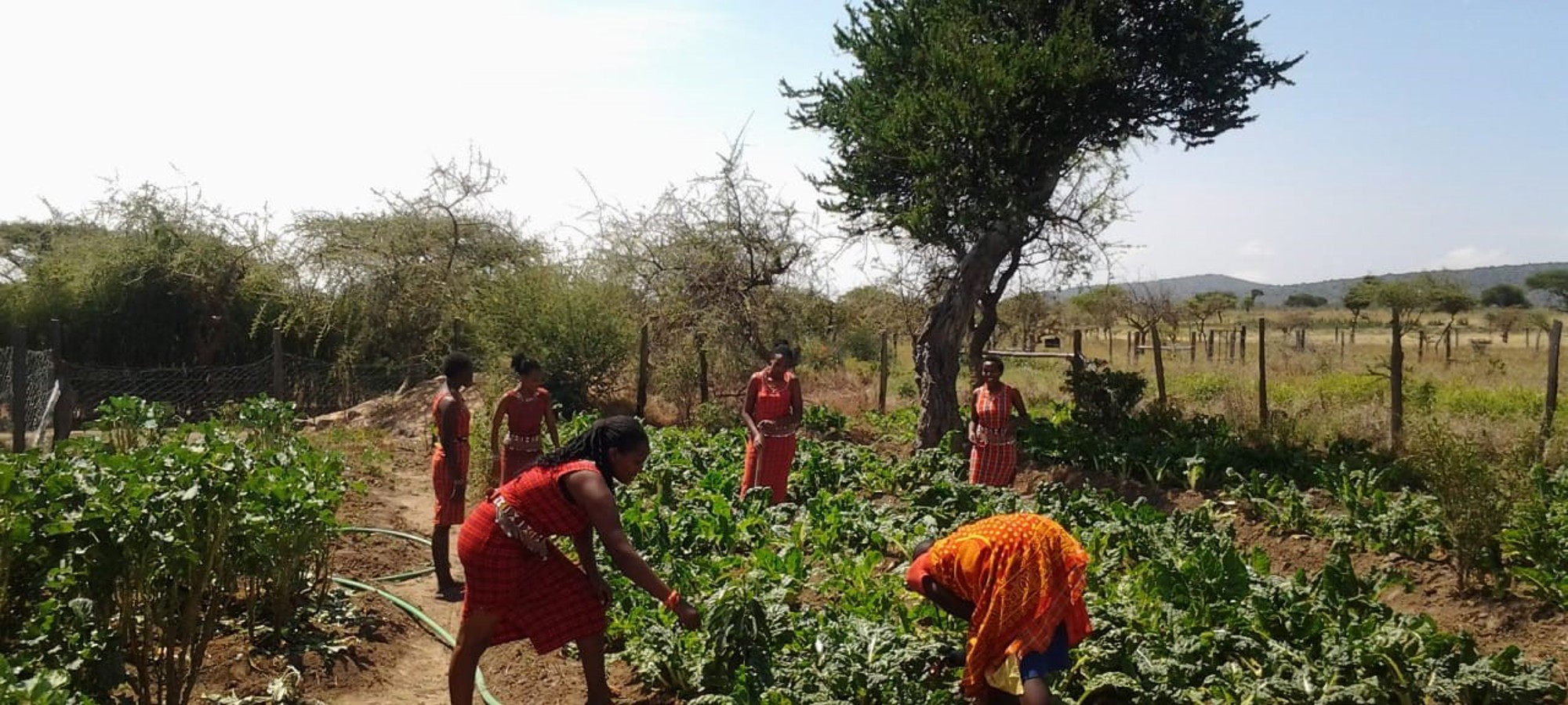 Stichting Friends of the Maasai-actionPhoto