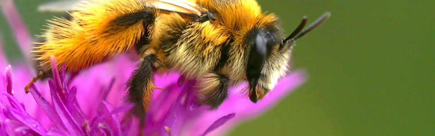 Creatief campagne concept