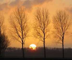 Stichting Recht op Bescherming tegen Vliegtuighinder