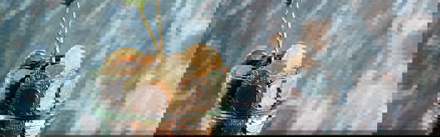 Interim vrijwilliger: Finance Specialist