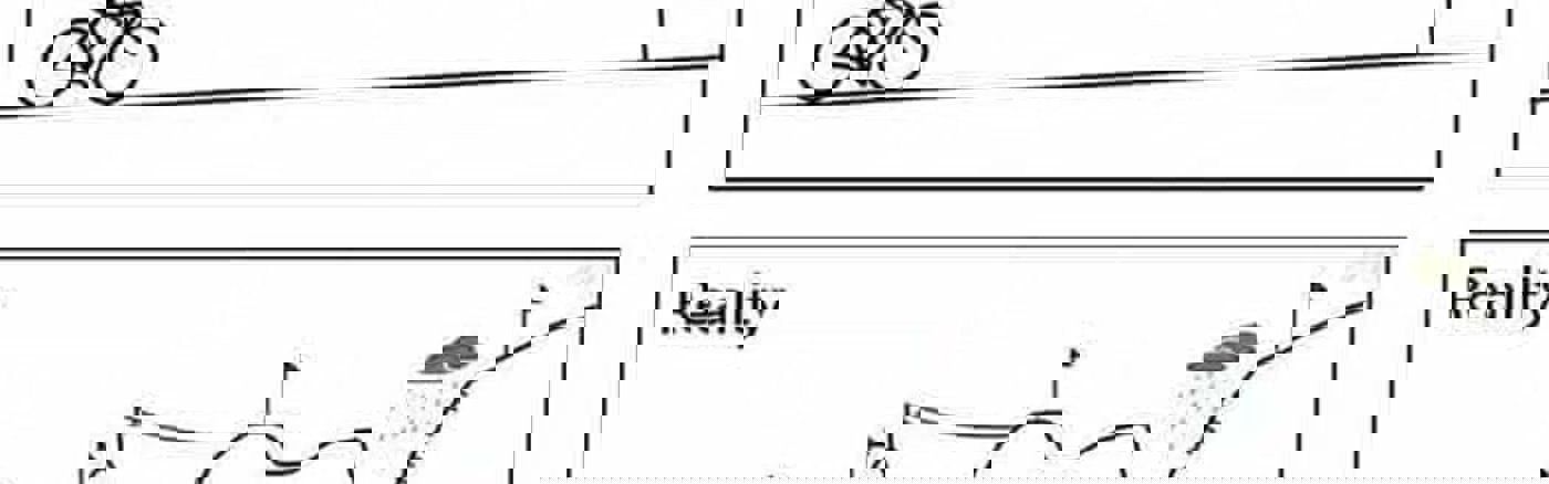 Strategisch advies over Business Model