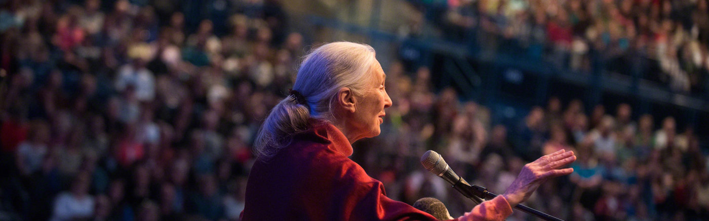 Adverteren in Google Grants