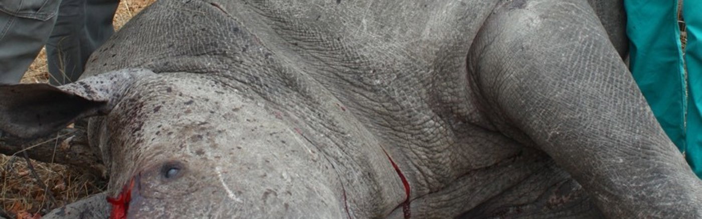 Donatiemodule inrichten op website