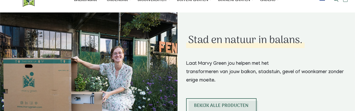 Gezocht: Webdeveloper voor Custom website