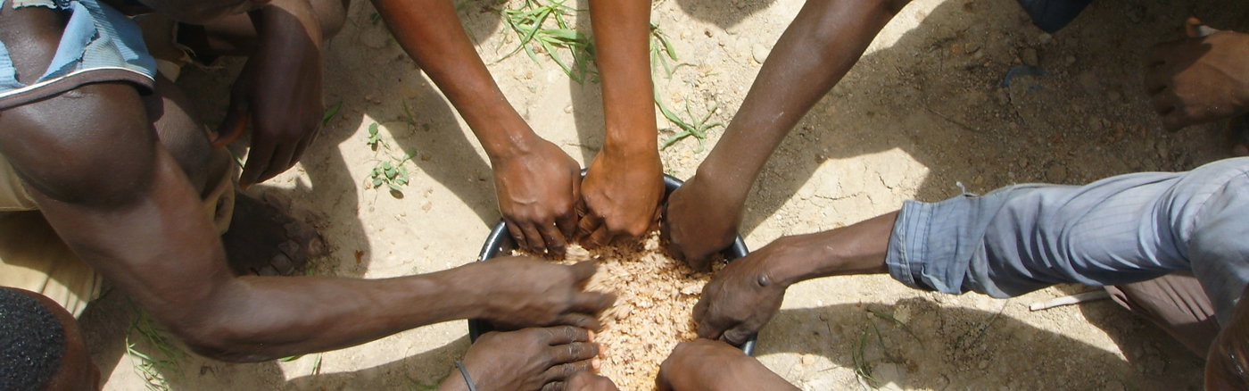 Grafisch Ontwerp Boekje 25-Jarig Bestaan Practica (Engelstalig)