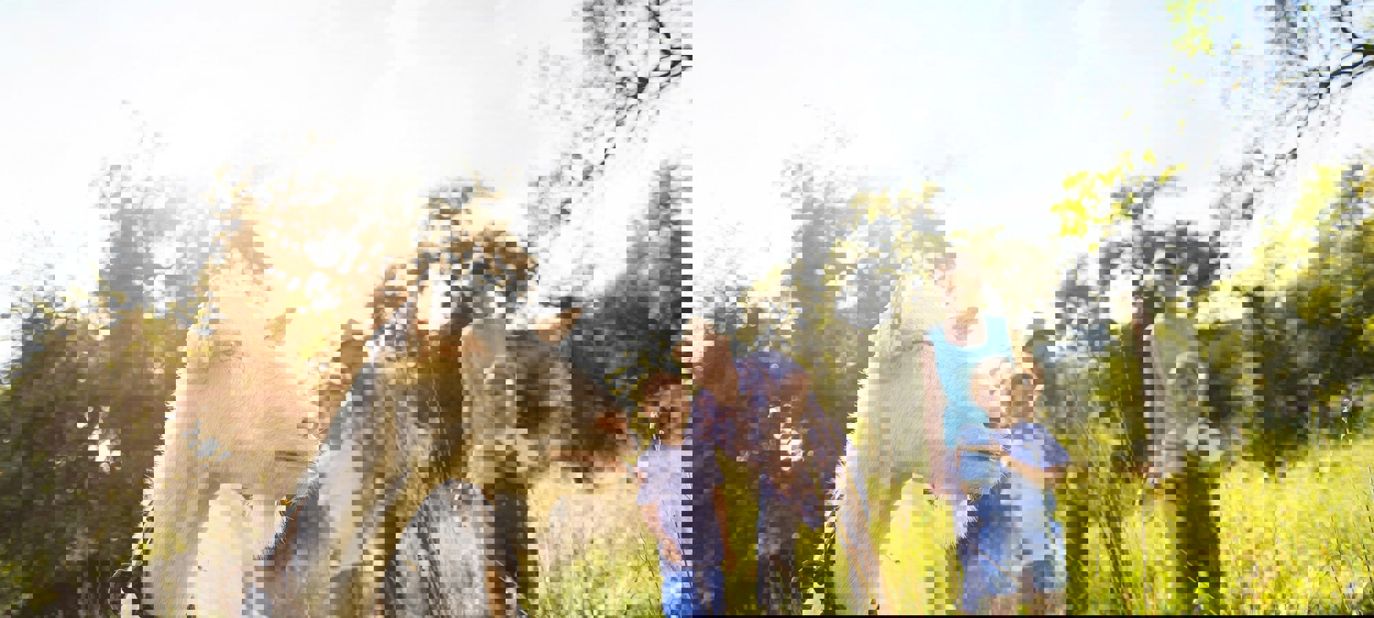 21f16df9-ce3d-4297-818d-134c07ab0cfb