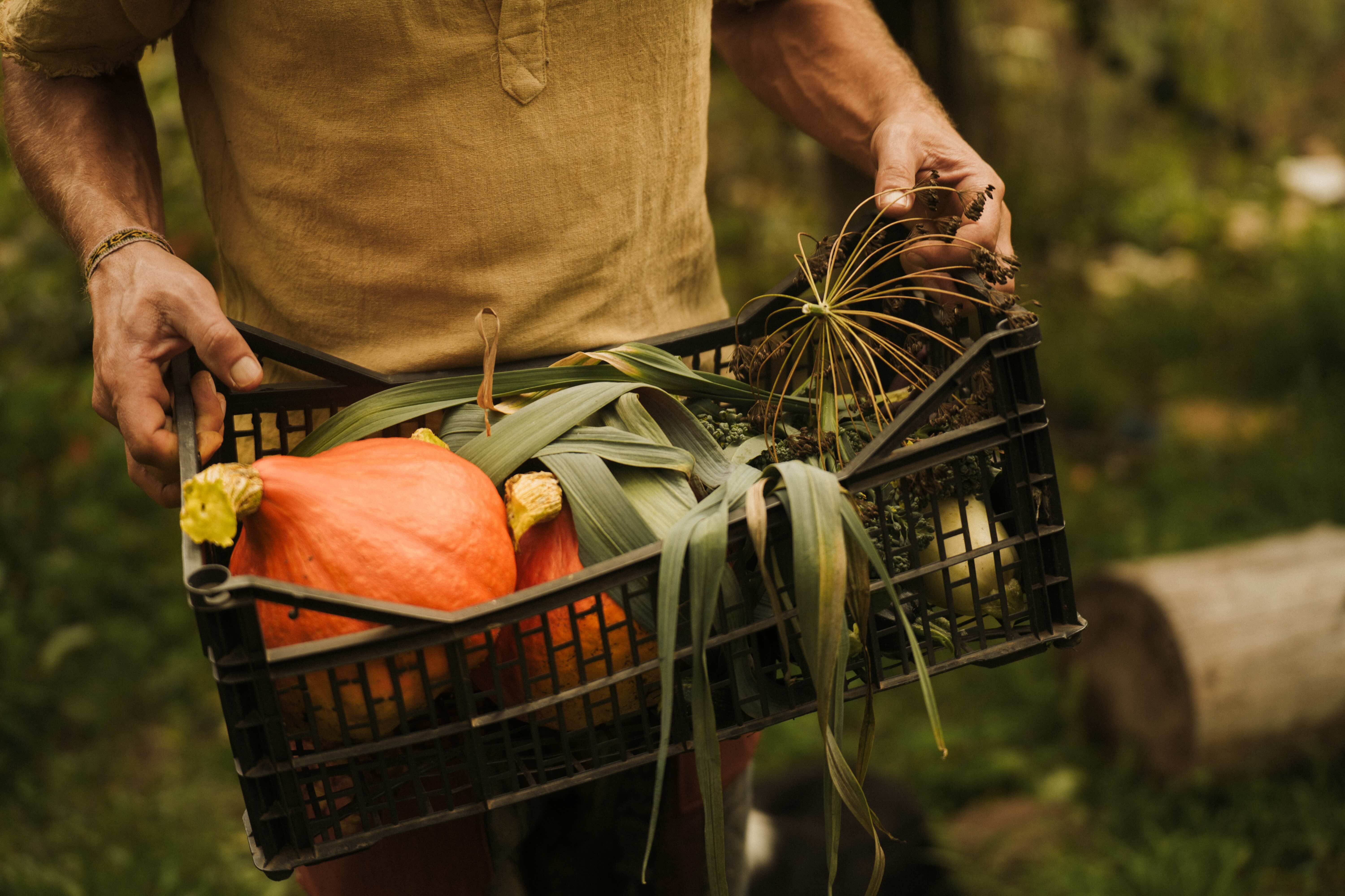 Stichting le Rêve de Gaïa Foundation