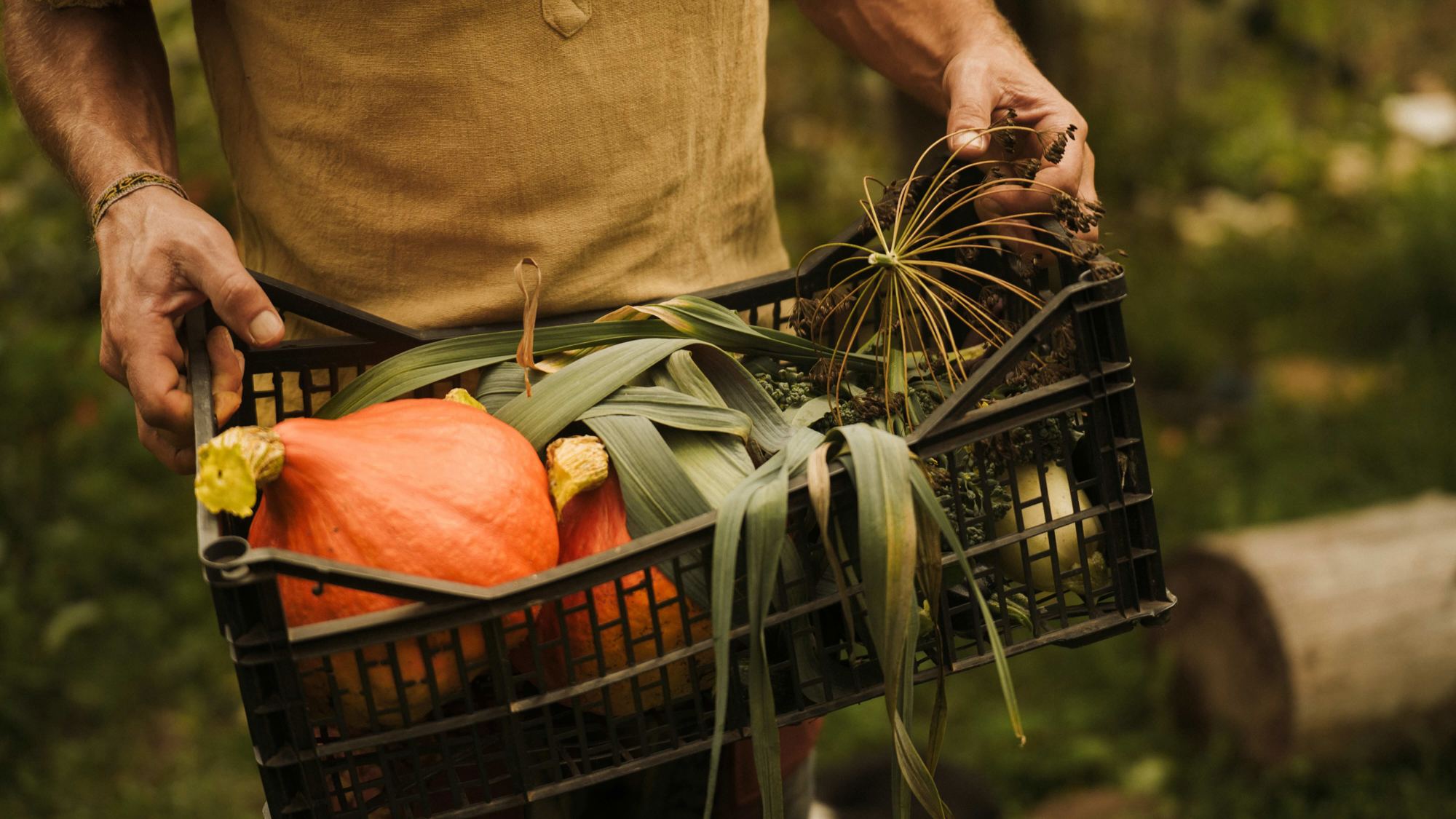 Stichting le Rêve de Gaïa Foundation