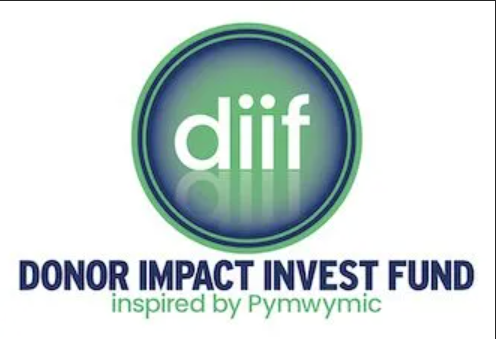 Logo en Huisstijl voor Website en Flyers