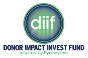 Logo en Huisstijl voor Website en Flyers