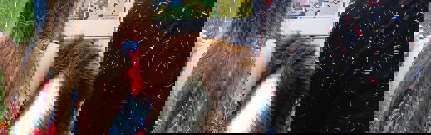 Professioneel Powerpoint template 