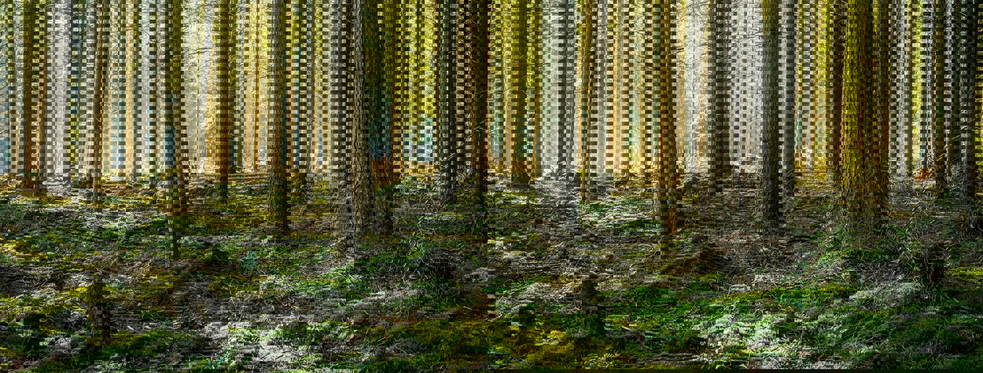 Bart Ros U6igqzv2ptc Unsplash