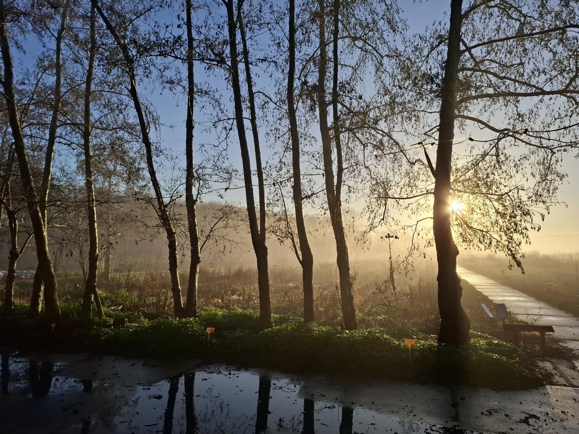 Educatieplan Land van Ons ontwikkelen