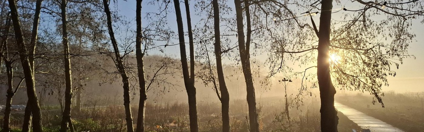 Educatieplan Land van Ons ontwikkelen