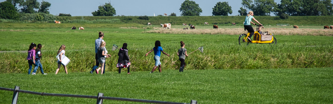 Workshop Adobe Illustrator 