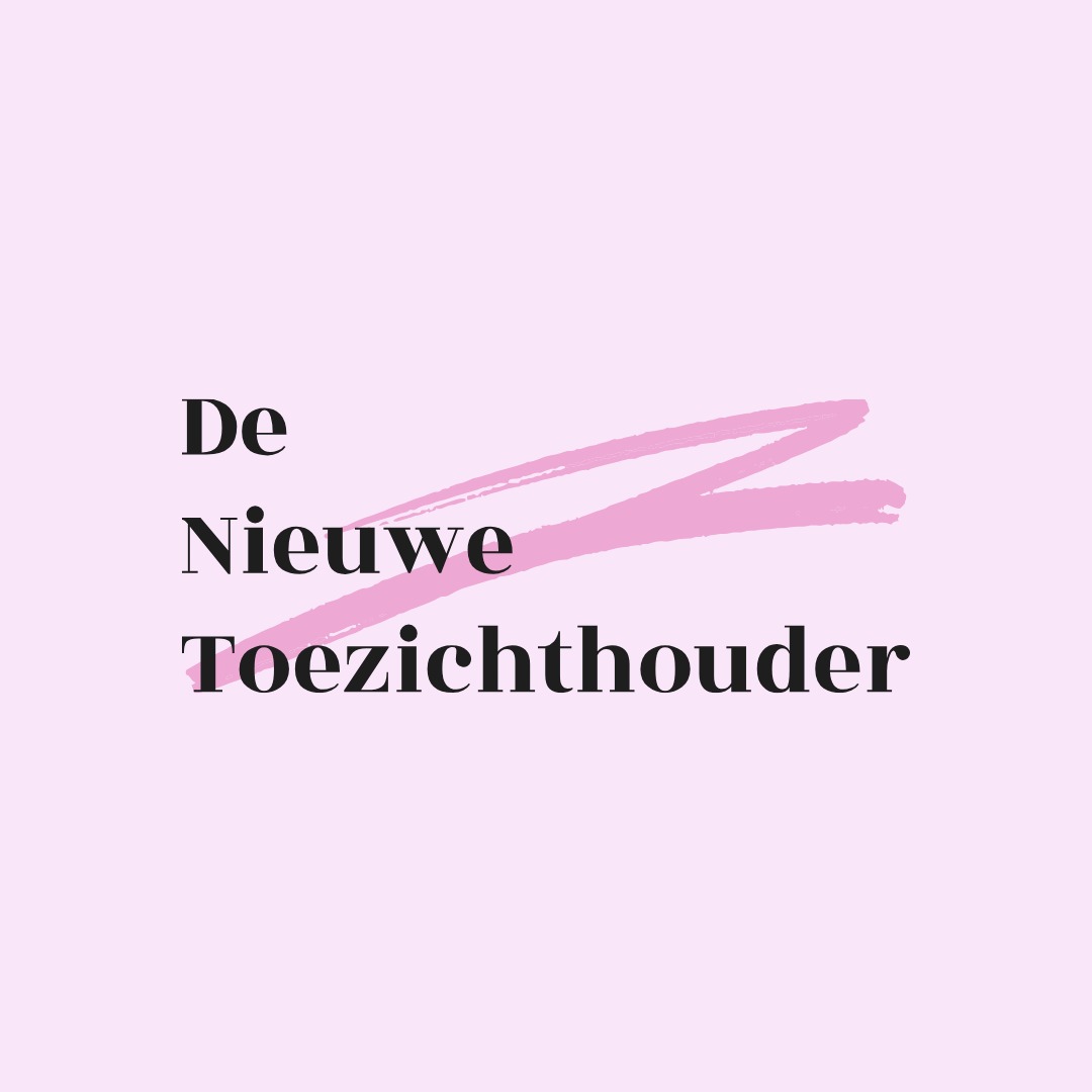 De Nieuwe Toezichthouder