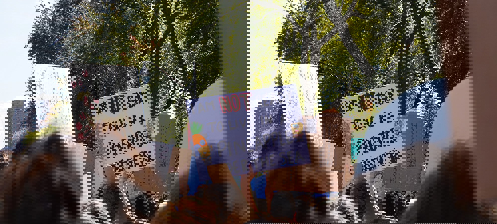 Welfact P953wbrpzj0 Unsplash