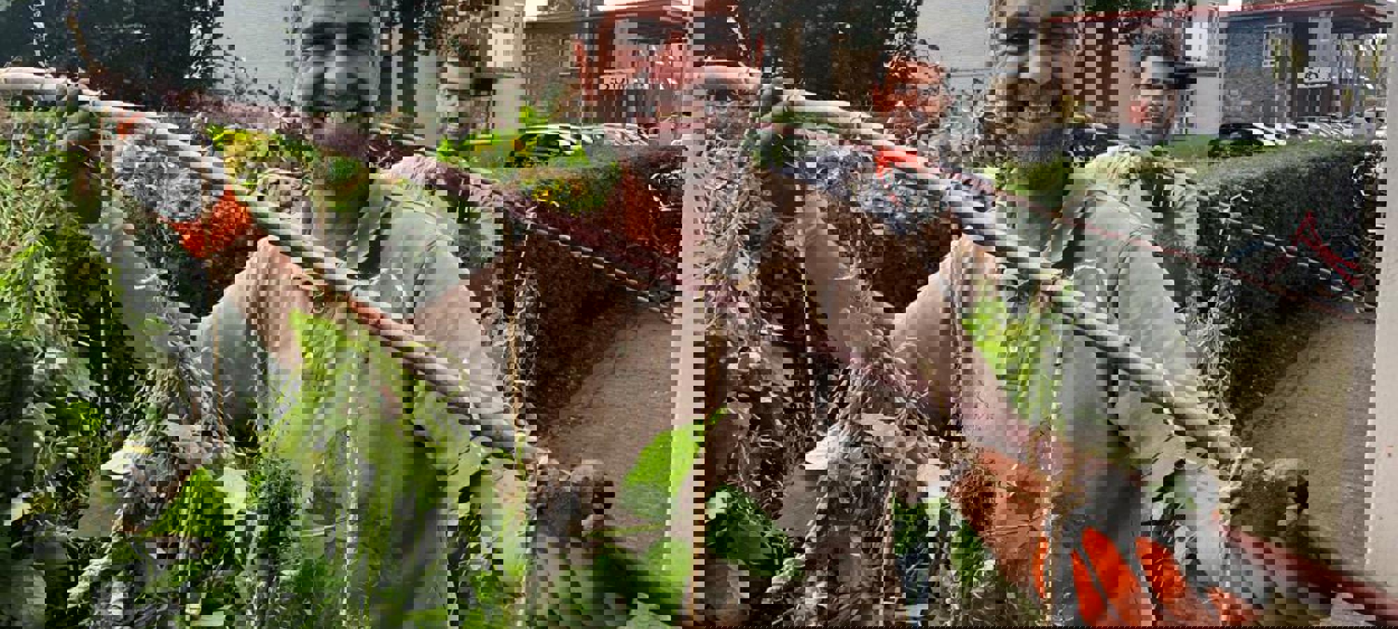 ac386132-e820-4f6a-a859-967e27d08604