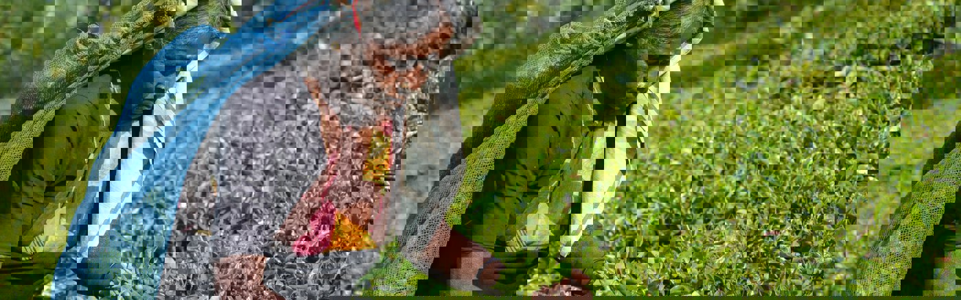 User Experience Coach