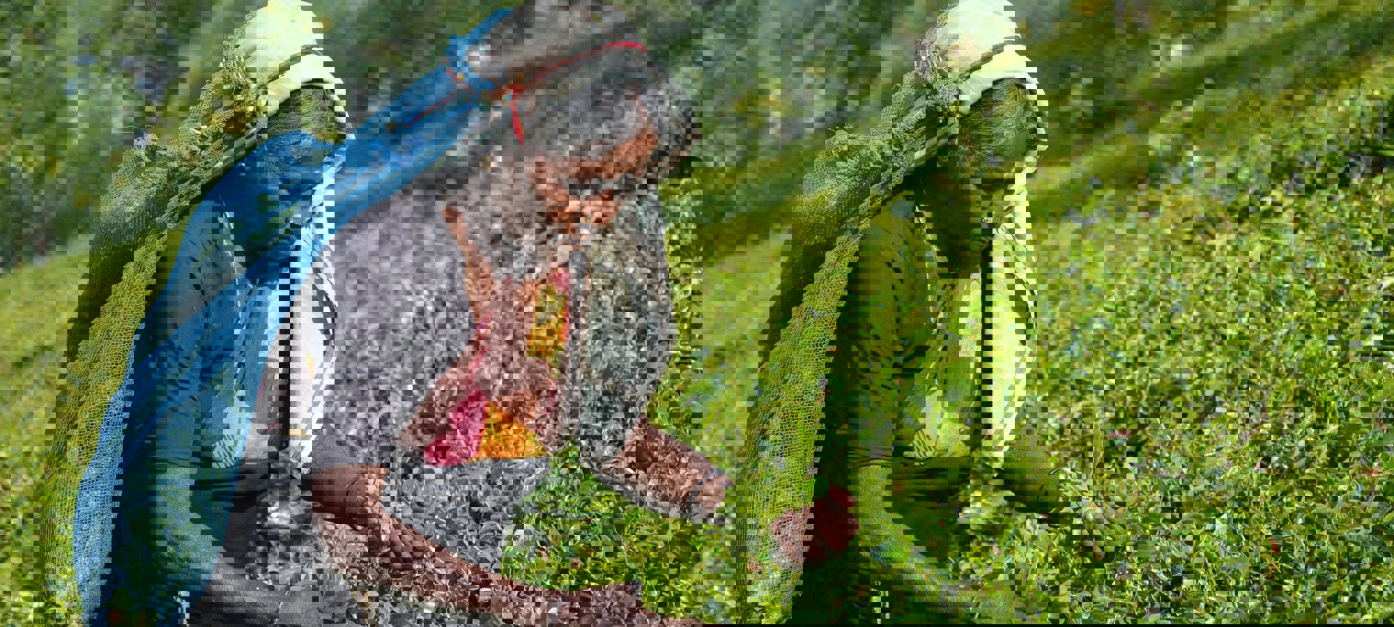 Asantha Abeysooriya Benitta8pp8 Unsplash