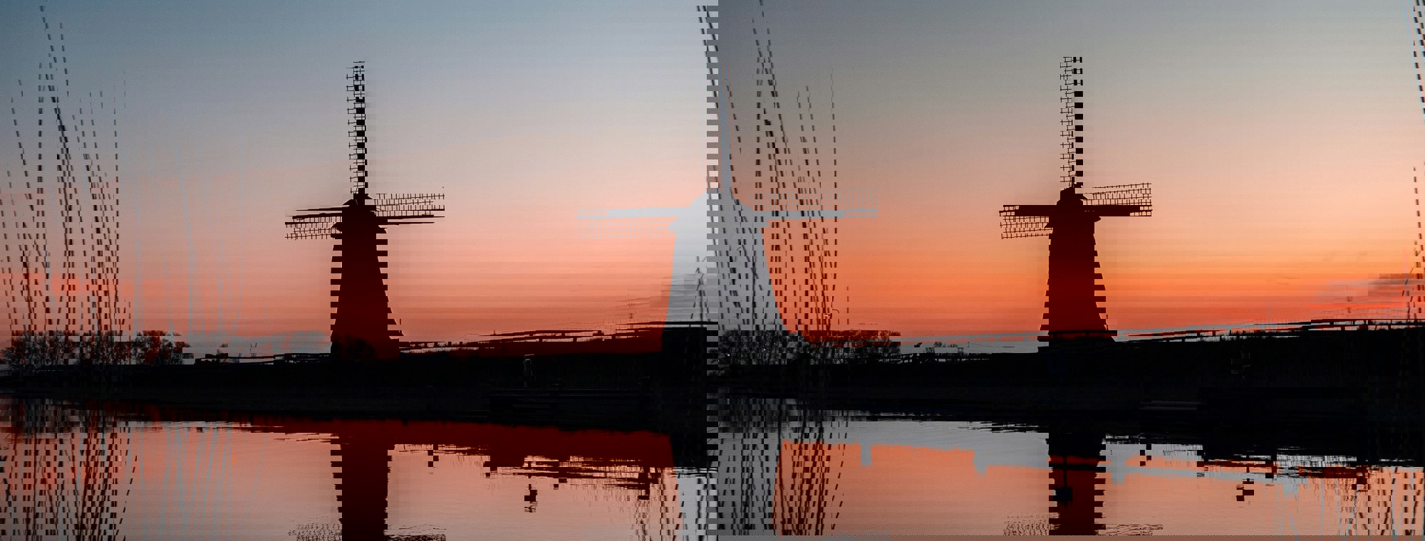 Tim Roosjen A Ik1znysfk Unsplash