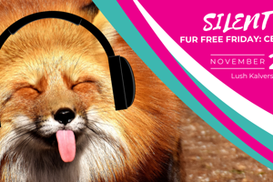 Foto's en video maken van Silent Disco voor dieren