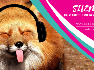 Foto's en video maken van Silent Disco voor dieren