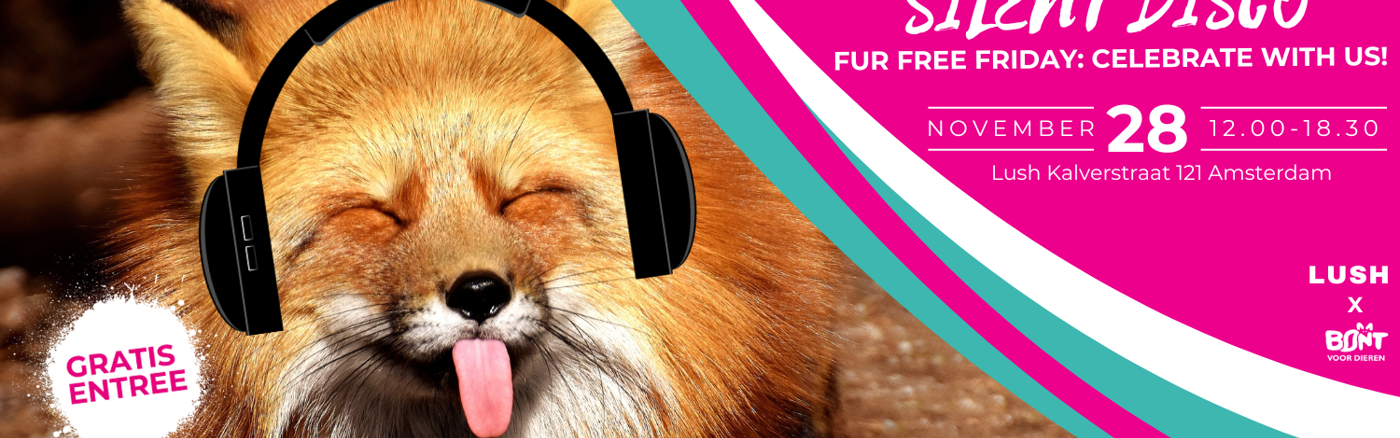 Foto's en video maken van Silent Disco voor dieren