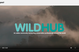 Juridisch advies over WildHub rechtsvorm