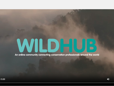 Juridisch advies over WildHub rechtsvorm