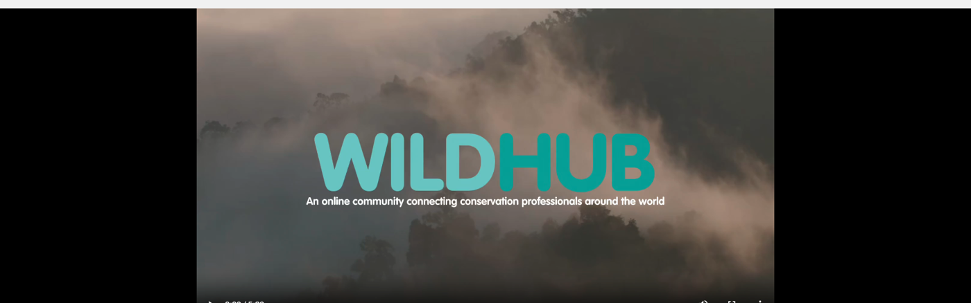 Juridisch advies over WildHub rechtsvorm