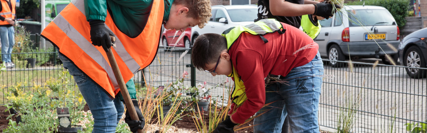 Advies bij script voor video 