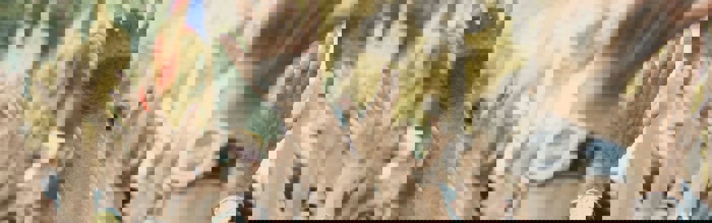 Strategie Ledenwervingscampagne Ontwikkelen