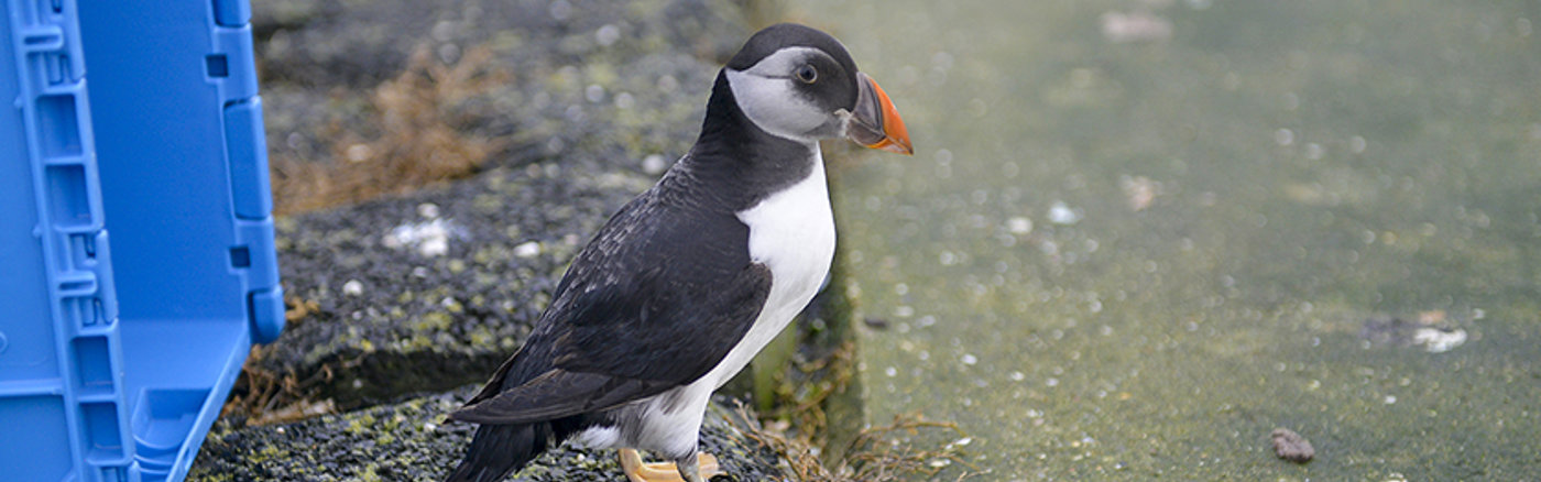 Kennissessie Zelfsturende teams