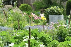 Juridisch adviesrapport opstellen voor statuten