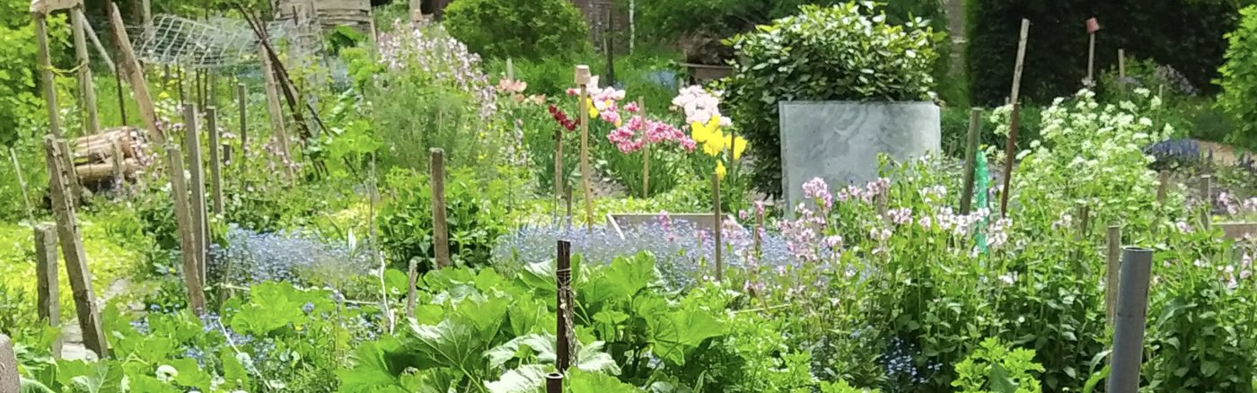 Juridisch Adviesrapport Statuten