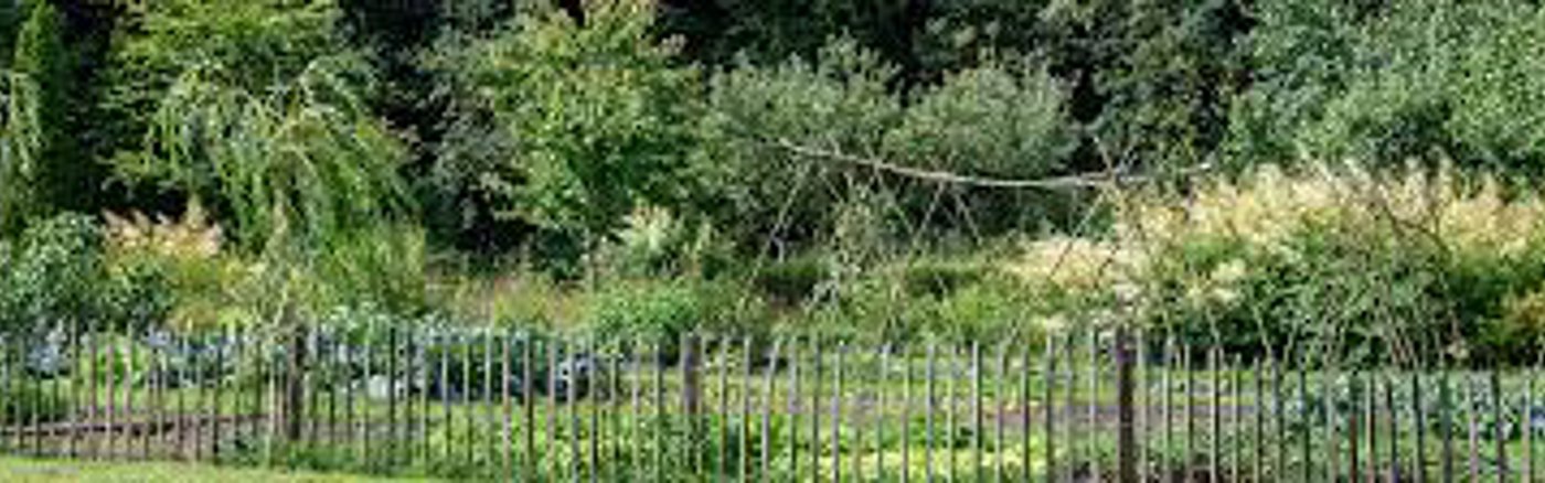 Verbeter teksten voor promotie Wereldtuin