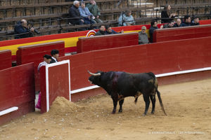 5 social media posts maken voor EU-petitie