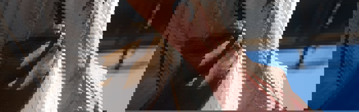 Fotoshoot tennisevent