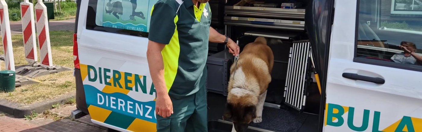 Creatief campagne concept